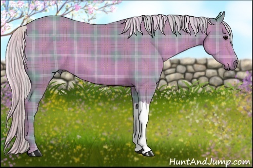 Horse Color:Watercolor Plaid  Silver Black  Brindle