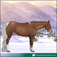 Horse Color:Gray Silver Black Pearl Tobiano 