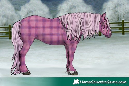 Horse Color:Watercolor Plaid  Silver Black 