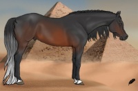 Horse Color:Brown 