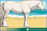 Horse Color:Perlino Dun Tobiano 