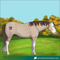 Horse Color:Classic Champagne Dun Splash 