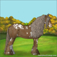 Horse Color:White Spotted Chocolate Palomino Varnish 