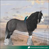 Horse Color:Platinum Brown Dun Splash 