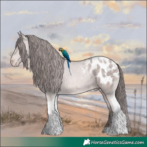 Horse Color:Platinum Sable Champagne Tobiano Appaloosa 