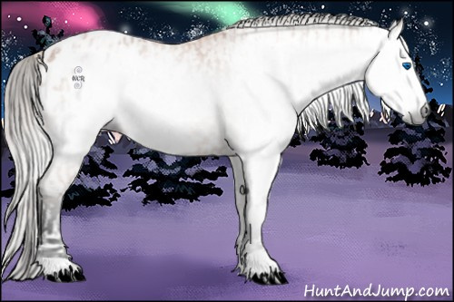 Horse Color:Gray Silver Bay Roan Splash Frame Appaloosa and Gray Bay Roan Appaloosa