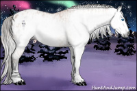 Horse Color:Gray Silver Bay Roan Splash Frame Appaloosa  and Gray Bay Roan Appaloosa 