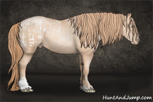 Horse Color:Gold Champagne Pearl Tobiano Blanket and Gold Champagne Pearl Tobiano