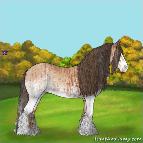 Horse Color:White Spotted Bay Splash and White Spotted Amber Champagne Splash