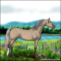Horse Color:Silver Brown Dun 