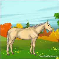 Horse Color:Palomino