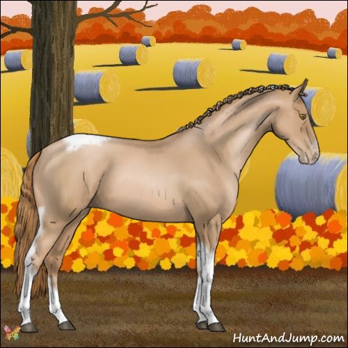 Horse Color:Red Roan Pearl Tobiano Frame