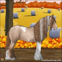 Horse Color:Liver Red Roan Pearl Tobiano Frame 