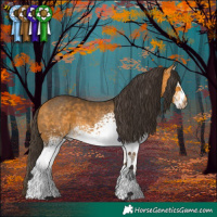 Horse Color:White Spotted Buckskin 