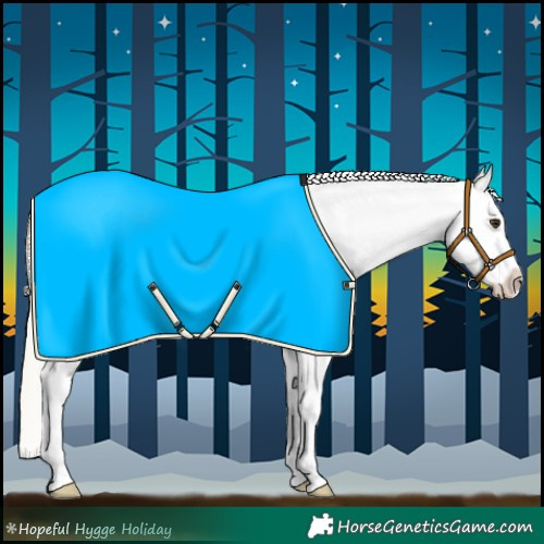 Horse Color:Chestnut Mushroom Splash Appaloosa 