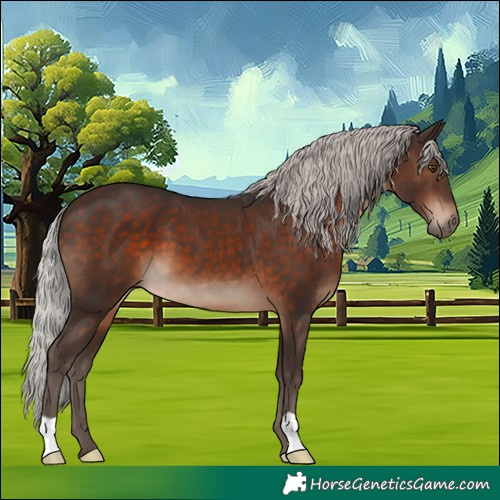 Horse Color:Silver Brown 