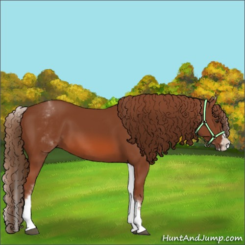 Horse Color:White Spotted Chestnut Splash