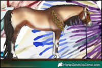 Horse Color:Bay Onyx 