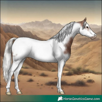 Horse Color:Silver Brown Splash Tobiano Frame Appaloosa Rabicano 
