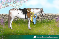 Horse Color:Bay Sabino Frame Appaloosa