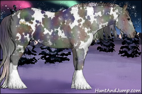 Horse Color:Nacre White Spotted Black