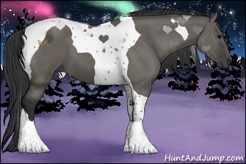 Horse Color:Grullo Tobiano 