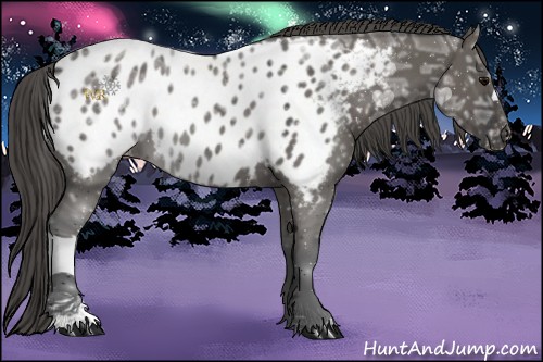 Horse Color:Grullo Ice Near Leopard