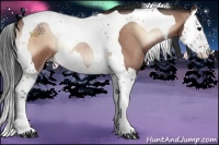 Horse Color:Brown Roan Onyx Splash Tobiano 
