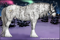 Horse Color:White Spotted Smoky Blue Roan Appaloosa and Gray Smoky Grullo Roan Appaloosa