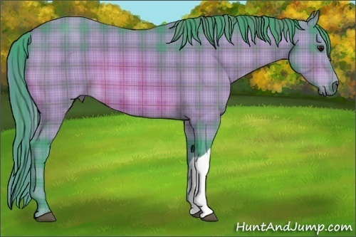 Horse Color:Watercolor Plaid  Bay  Brindle