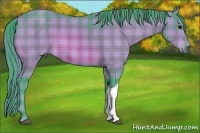 Horse Color:Watercolor Plaid Bay Brindle