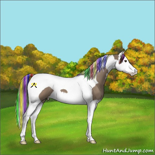 Horse Color:Painted Liver Red Dun Splash Tobiano 