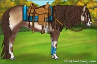 Horse Color:Red Onyx 