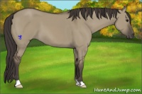 Horse Color:Smoky Grullo 
