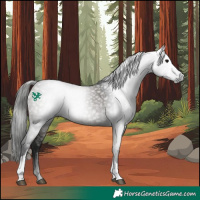 Horse Color:Gray Grullo Tobiano Rabicano