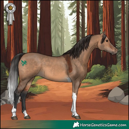 Horse Color:Brown Dun Tobiano