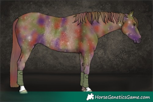 Horse Color:Nacre Chestnut Rabicano 