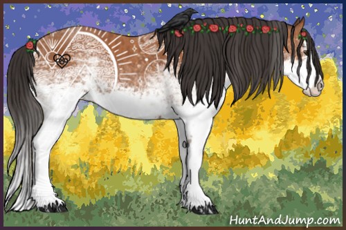 Horse Color:White Spotted Bay Splash and White Spotted Bay Splash