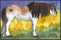 Horse Color:White Spotted Bay Splash  and White Spotted Bay Splash 