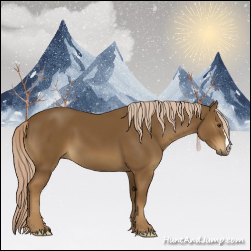 Horse Color:Chocolate Palomino 