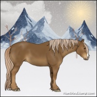 Horse Color:Chocolate Palomino 
