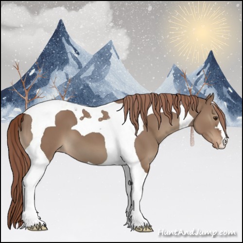 Horse Color:Liver Red Dun Tobiano Appaloosa 