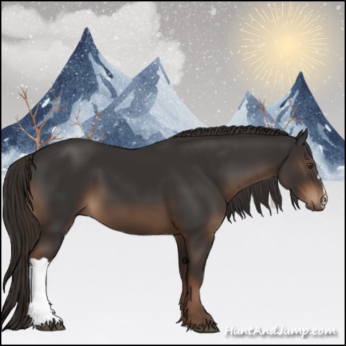 Horse Color:Liver Chestnut 