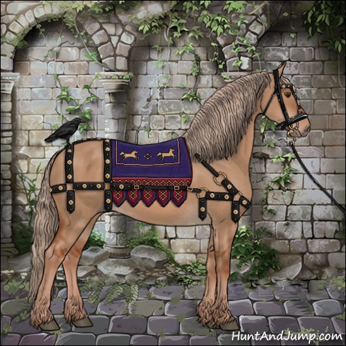 Horse Color:Red Dun 