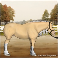 Horse Color:Silver Amber Cream Champagne 