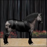 Horse Color:Void White Spotted Brown Ice Tobiano Appaloosa