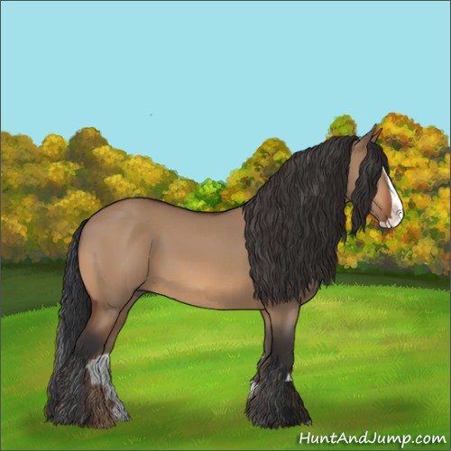 Horse Color:Bay Dun Splash