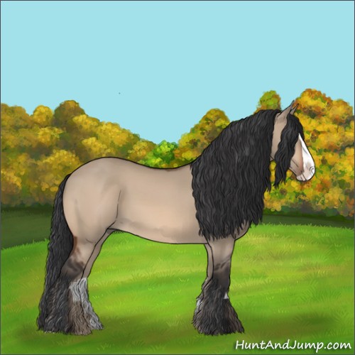 Horse Color:Bay Dun Splash 