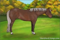 Horse Color:Silver Brown 