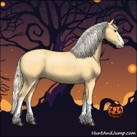 Horse Color:Palomino Roan Splash 